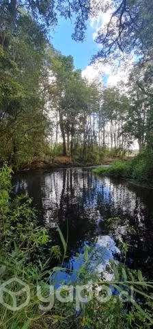 Parcela agrícola. Lago Riñihue