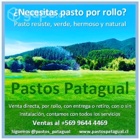 Pasto en rollo y plantas