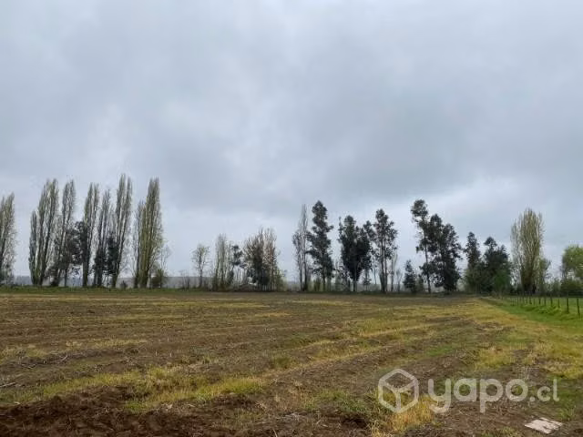 parcela de agrado de 5.000 mts - Imagen 4