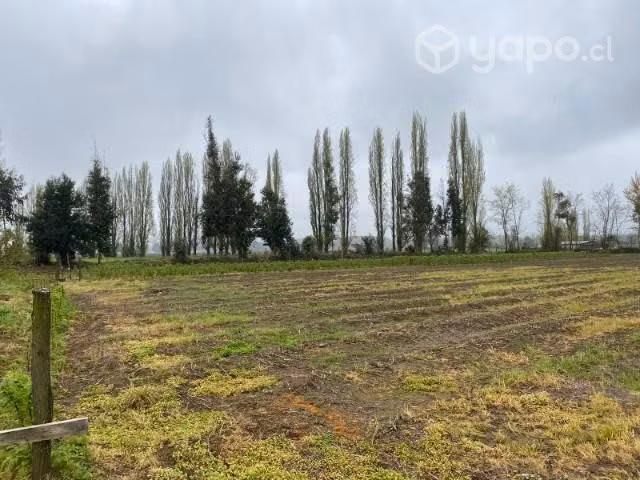 parcela de agrado de 5.000 mts - Imagen 2