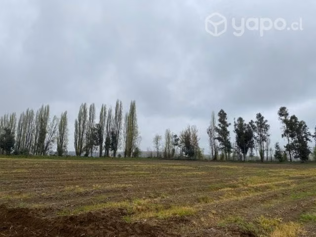 parcela de agrado de 5.000 mts - Imagen 3