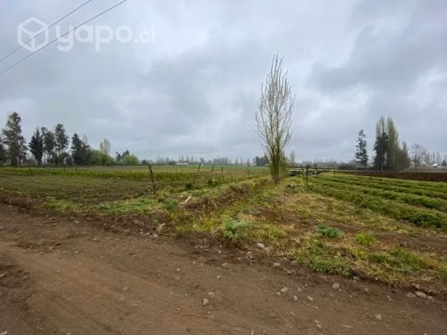 parcela de agrado de 5.000 mts - Imagen 5