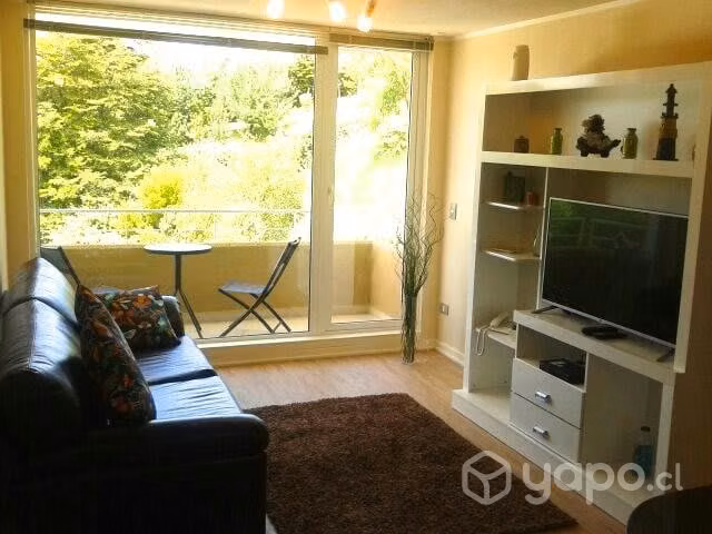 Dueño depto en Puerto Varas Condominio