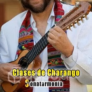 Clases de charango