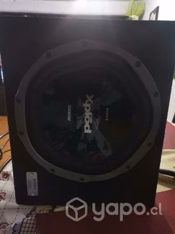 Amplificador con parlante sonny