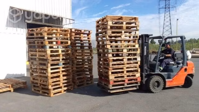 Realizó retiros de pallet de madera a empresas