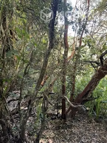 Parcelas con borde de río en Frutillar