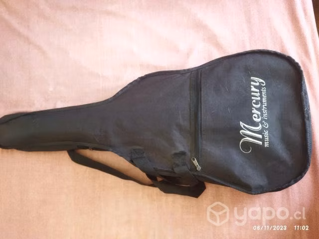 Guitarra mercury