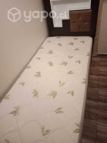 Cama