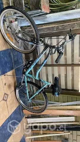 Bicicletas y Skate - Imagen 4