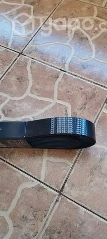 Kit de correas - Imagen 3