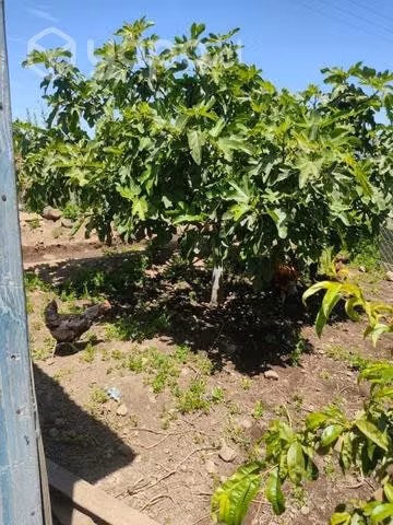 Terreno tipo condominio