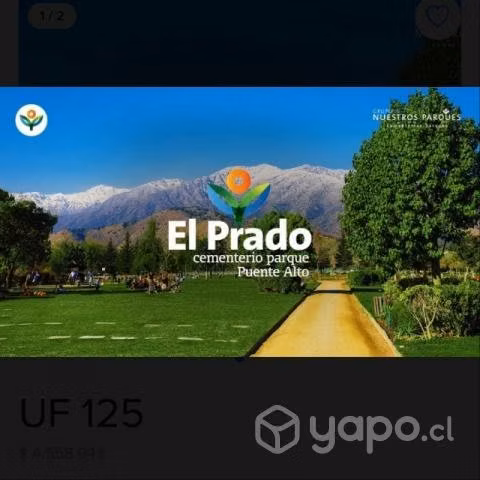 Lote sepulturas cementerio El Prado