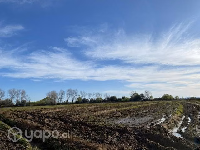 terreno - Imagen 3