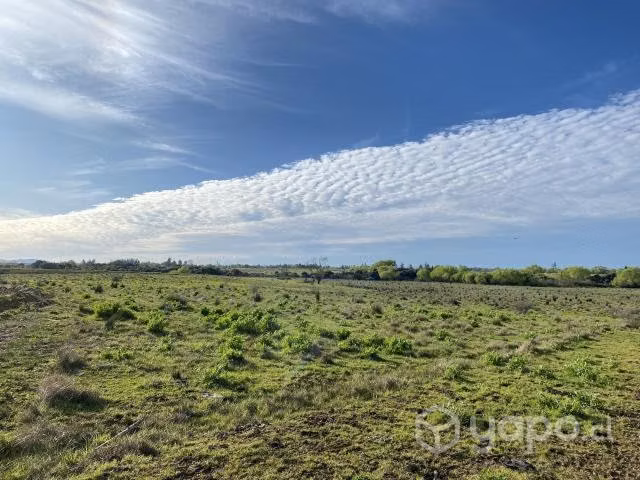 terreno - Imagen 2