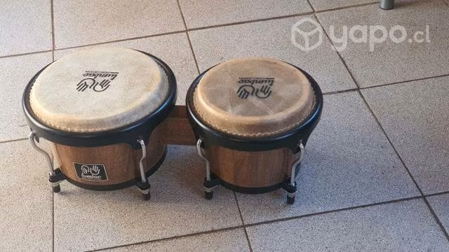 Bongo tumbao