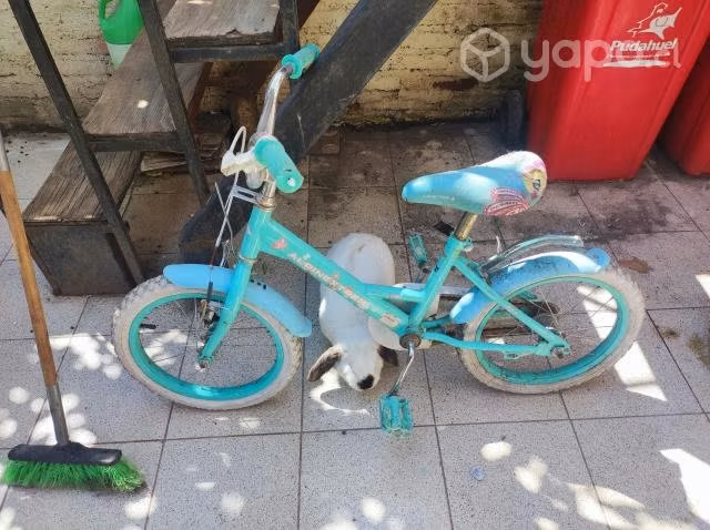 Bicicletas usadas - Imagen 2