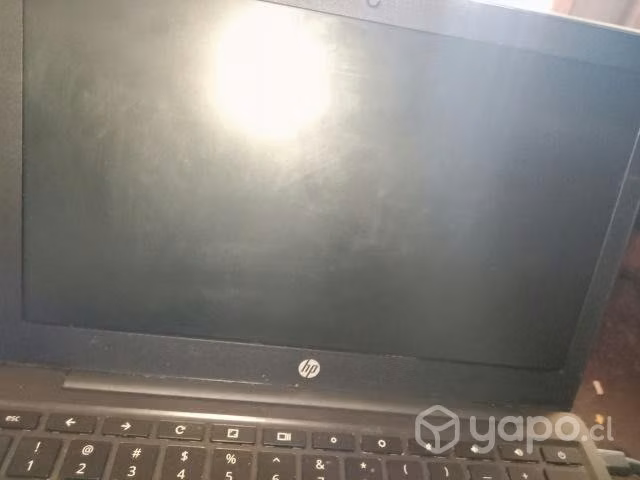 Chromebook hp