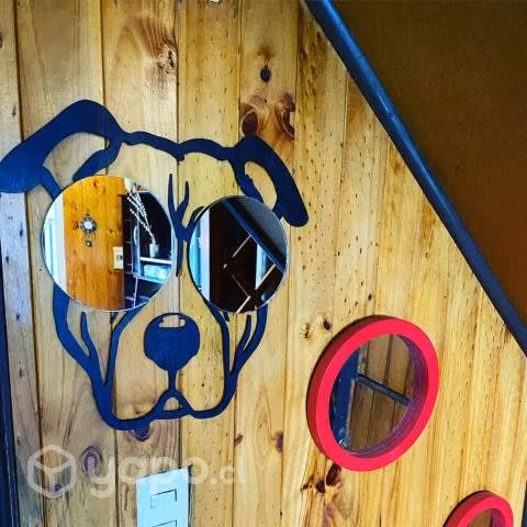 Pitbull Decoración Espejo