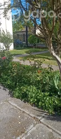 Arriendo amplio departamento - Imagen 2