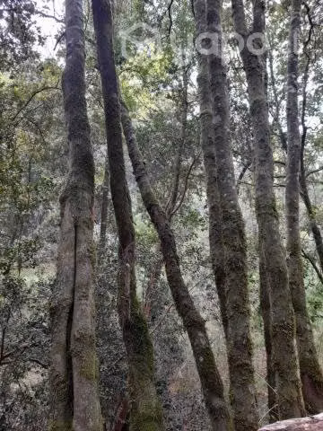 Parcela En Florida