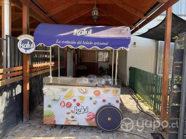 Productora de helados artesanales 4 sabores