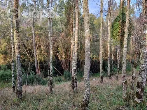 Parcela Rio Negro