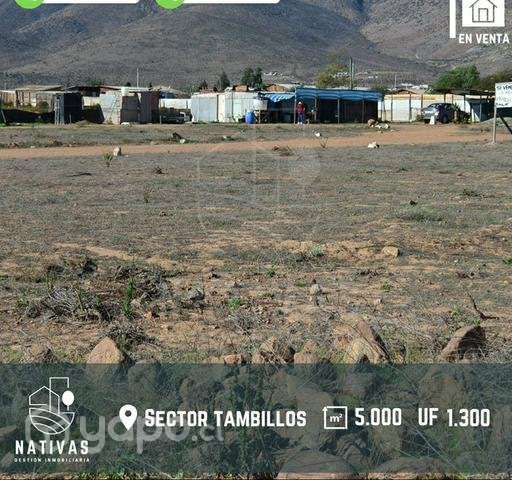 Terreno 5000m2 en tambillo - Imagen 2