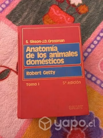 Libro de Anatomía Veterinaria