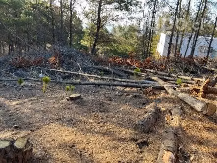 Terreno con casa - Imagen 3