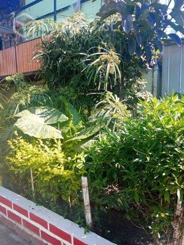 Departamento en excelentes condiciones - Imagen 4