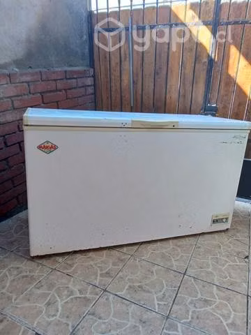 Congeladora mAigAs