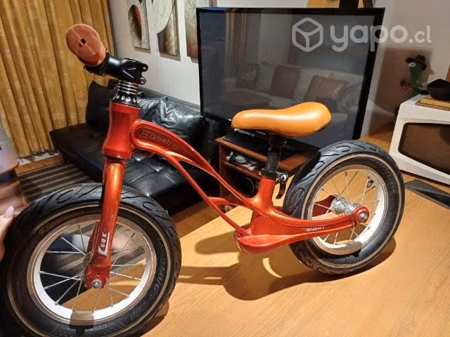 Bicicleta de equilibrio