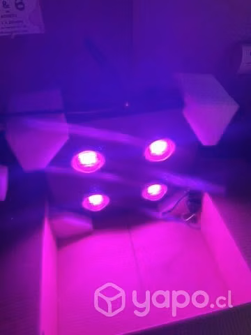 Kit cultivo Led Carpa