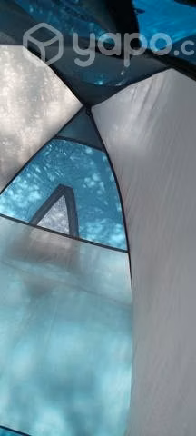 Carpa Doite CYBA2