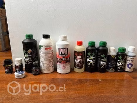 Indoor completo