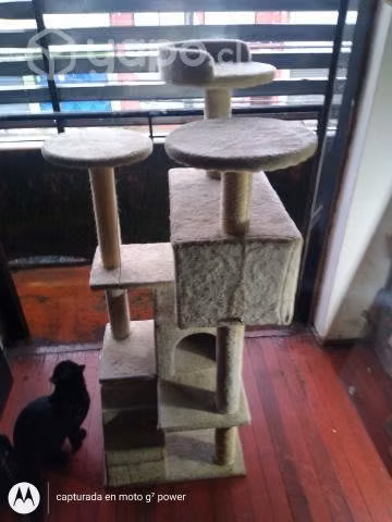 Rascador gatos