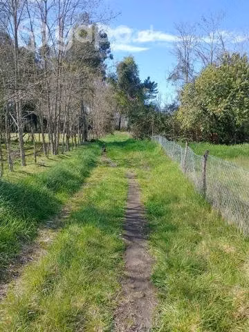 Terreno 7.400 m2 con casa rio