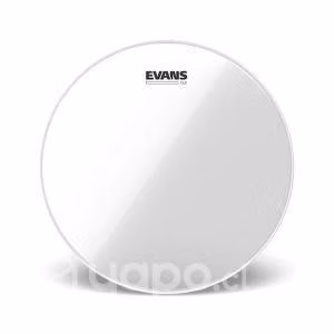 Parche 14" evans g2 clear // lucy rock