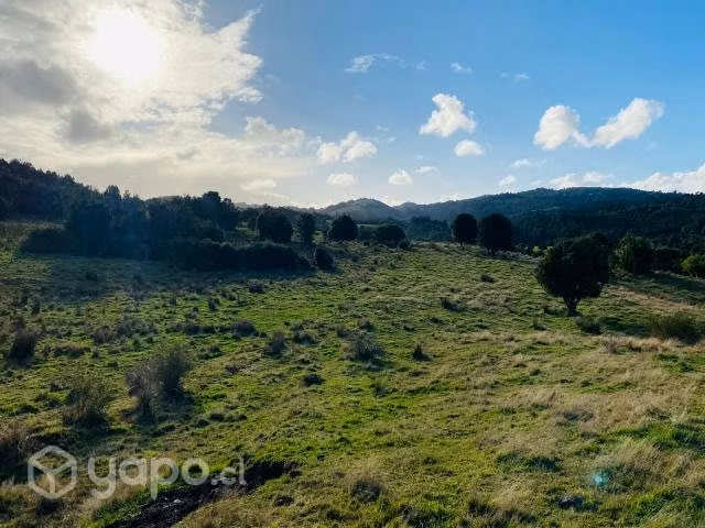 5,15 Hectareas, Sector Chepu, Comuna Ancud