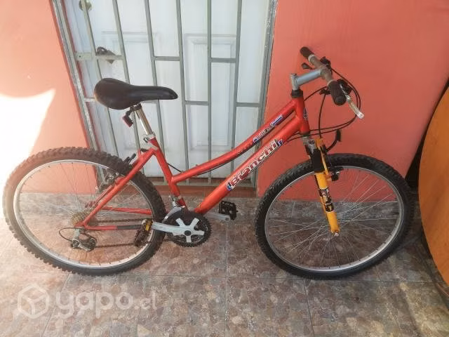 Bicicleta Bianchi mujer - Imagen 3