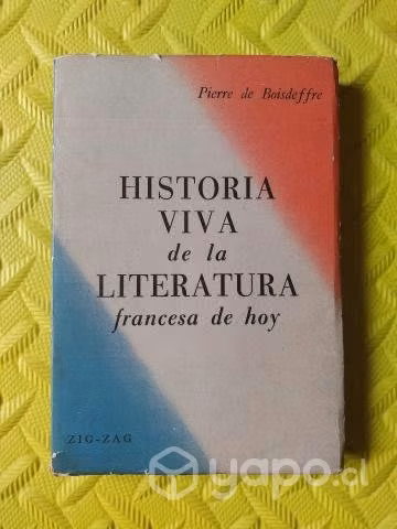 Historia viva de la literatura francesa de hoy