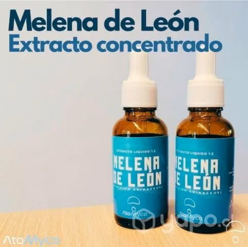 Extracto de Melena de León