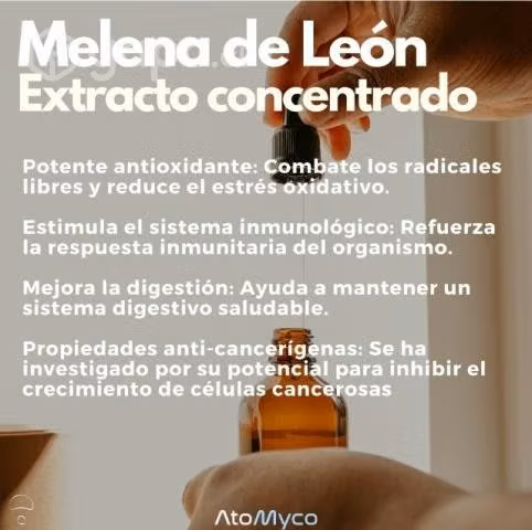 Extracto de Melena de León