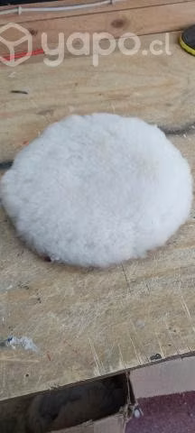 Disco de chiporro