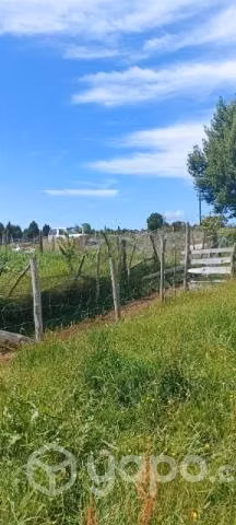 Campo - Imagen 2