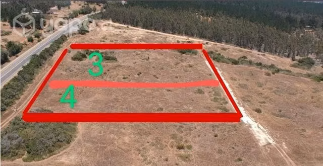 Parcela pichilemu 5.000 mt2 mirador pangal 3