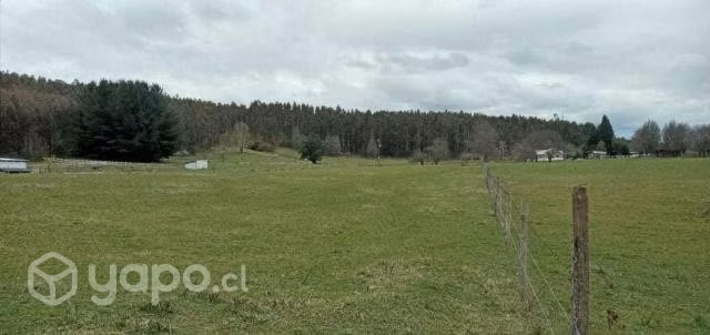 Media hectárea de terreno agricola