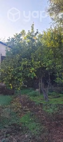 Terreno Con Casa Excelente Ubicación - Imagen 4