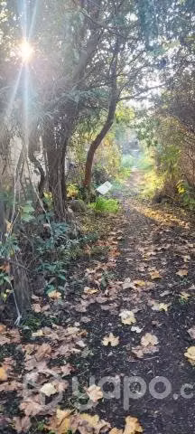 Terreno Con Casa Excelente Ubicación - Imagen 3